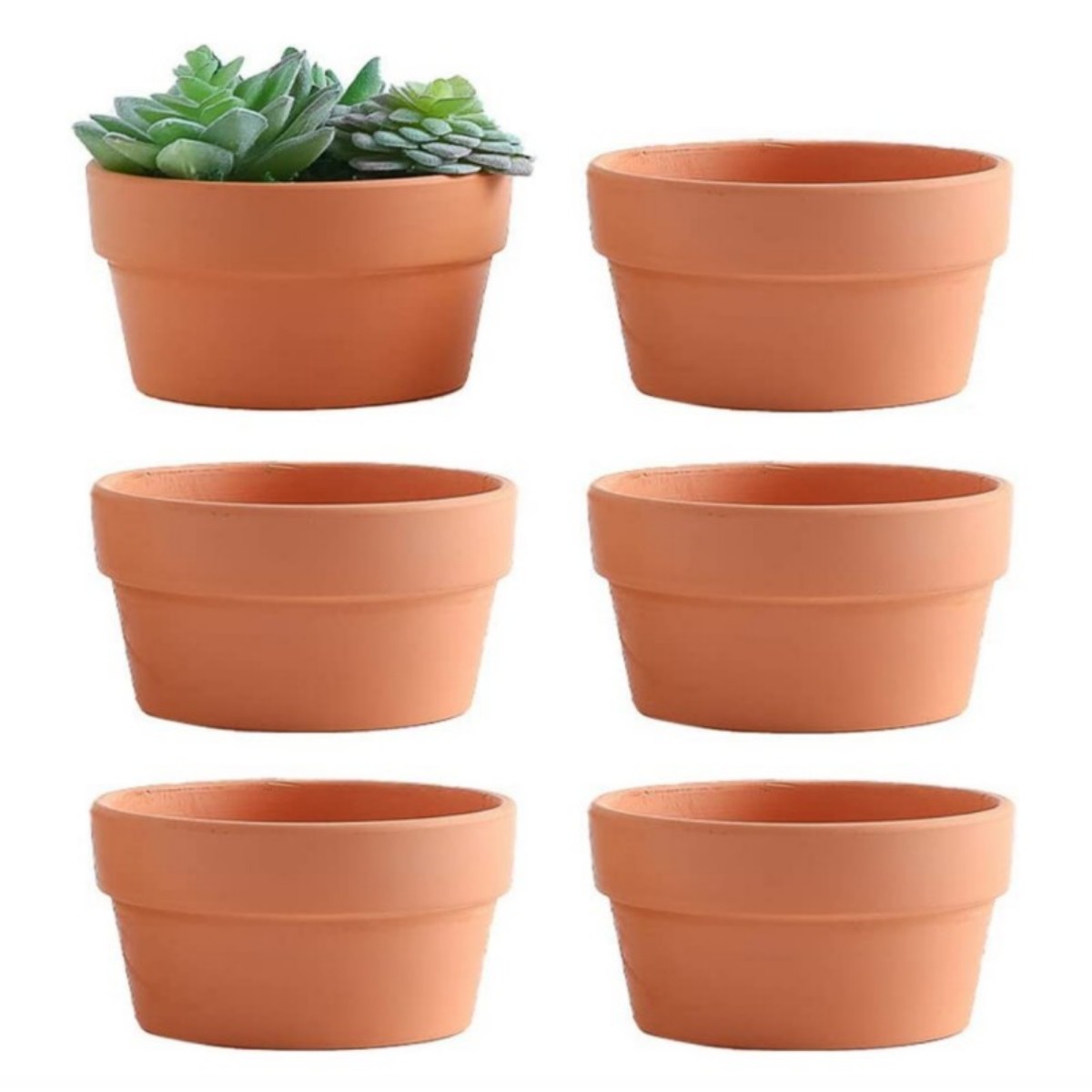 6 buah pot terakota Buld 3.5 