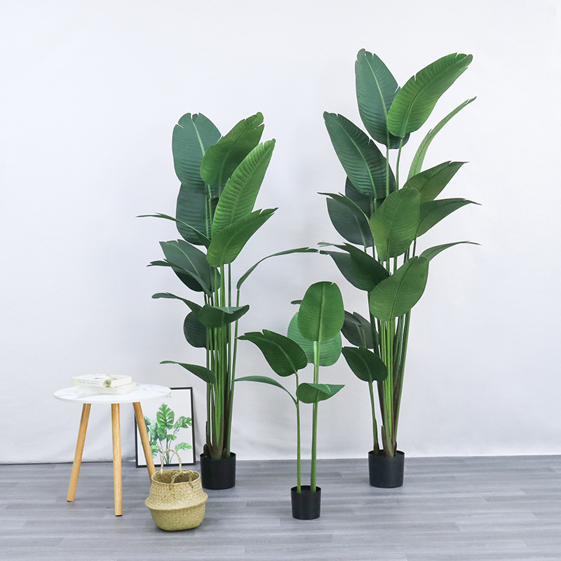 Pot Plastik Buatan ​ Tanam Bur - Bird Paradise Strelitzia ulasan dan harga