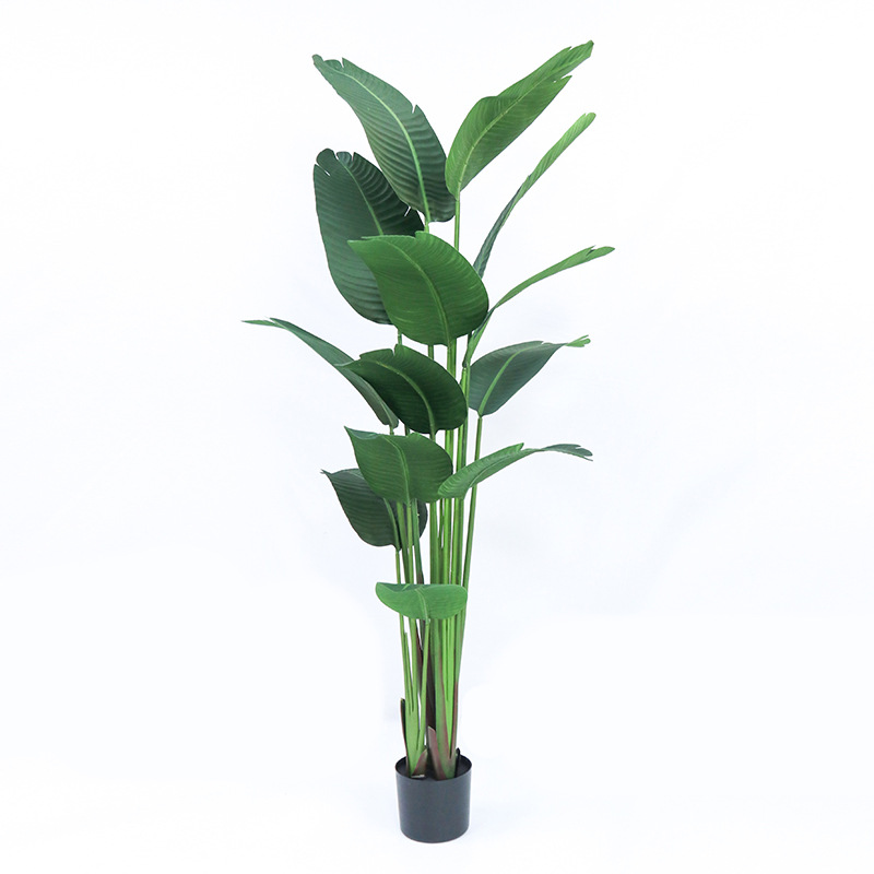 Pot Plastik Buatan ​ Tanam Bur - Bird Paradise Strelitzia ulasan dan harga