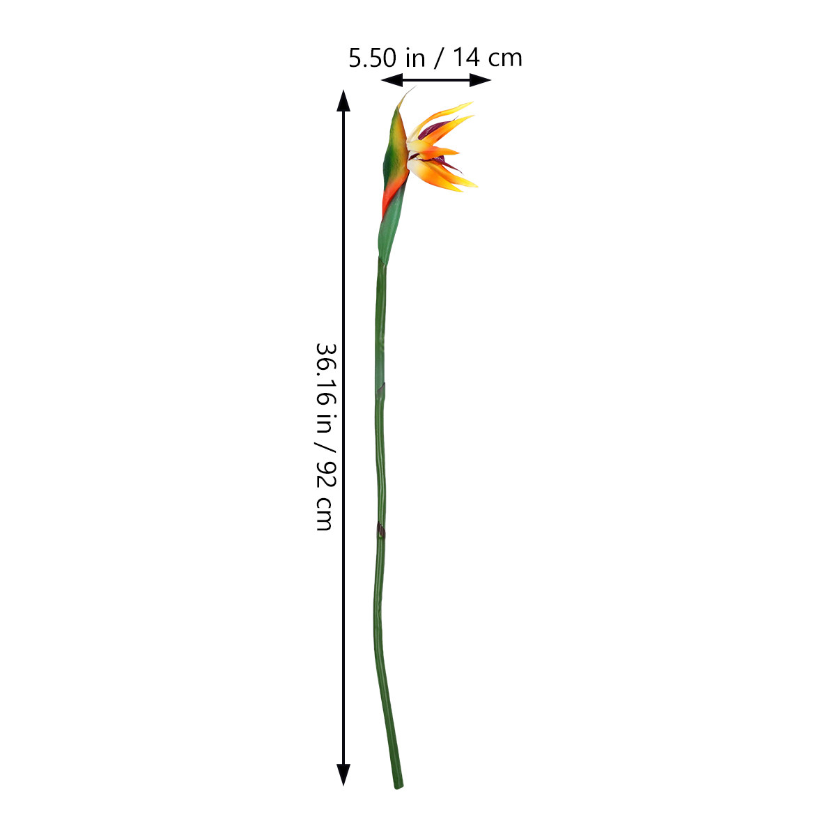 Bunga Strelitzia Buatan Tiruan - Bird Paradise Strelitzia ulasan dan harga