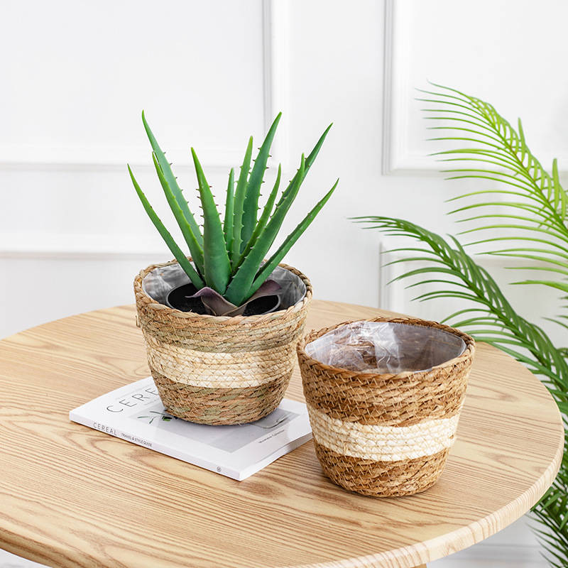 Keranjang Bunga Anyaman Alami, - Aloe Vera Pot ulasan dan harga