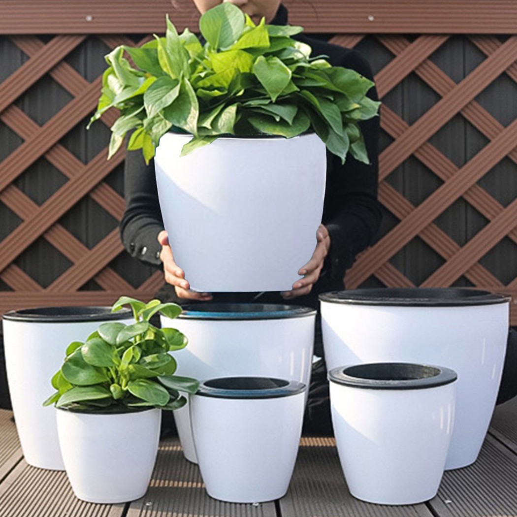 Pot tanaman bunga imitasi, Pot - Aloe Vera Pot ulasan dan harga