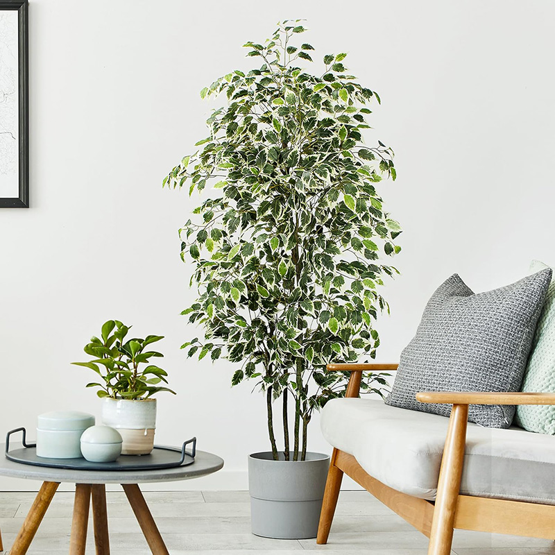 Pohon Ficus buatan plastik, ta - Ficus Lyrata Tree ulasan dan harga